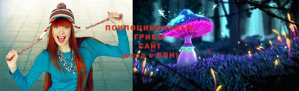 винт Вяземский