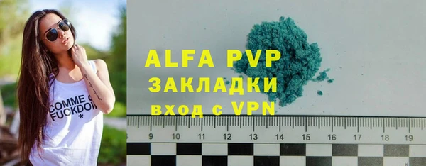 винт Вяземский