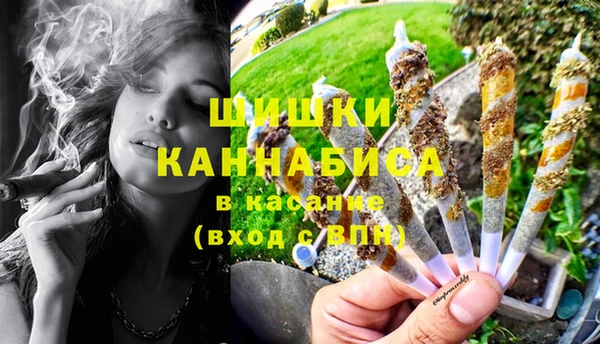 винт Вяземский