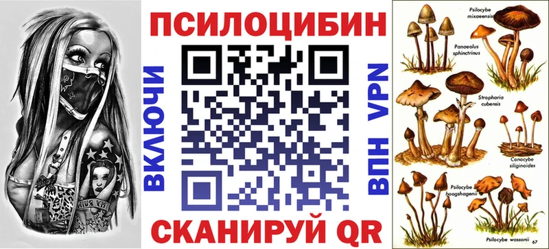 Купить  Томари  Галлюциногенные грибы Psilocybine cubensis 